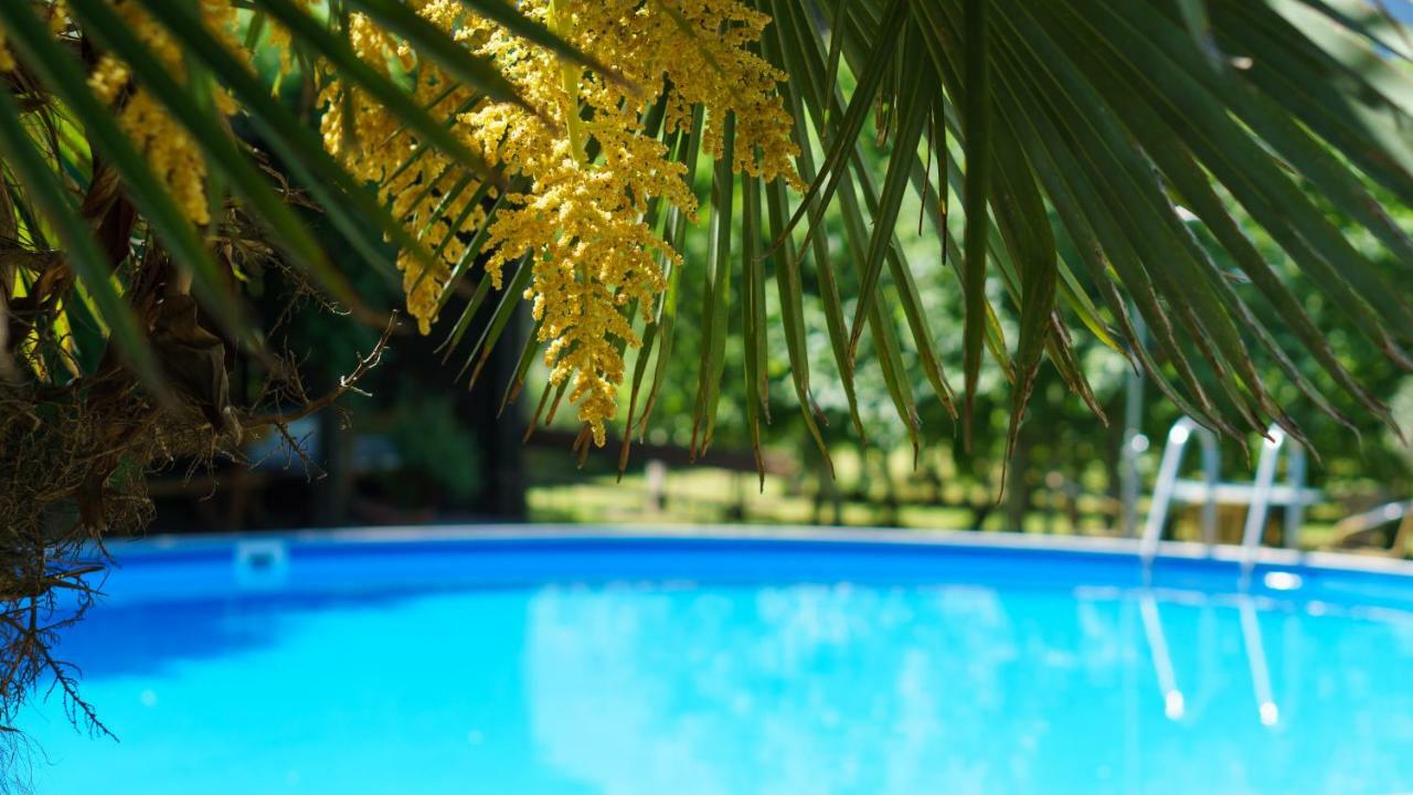 Pension Sunnhofer Vilpiano Εξωτερικό φωτογραφία